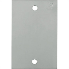 Espelho Placa P/Piso Inox 4X2 Cega Olivo Pll71