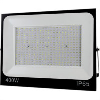 Reflet.C/Led Economax 400W Ip65 6500K