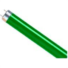 Lampada Fluorescente 40W T8 Ecolume Verde 76