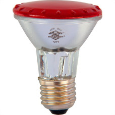 Lampada Halogena Par 20 Brasfort 50W X 127V Vermelha 7289