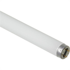 Lampada Fluorescente 54W T5 Osram 6500K 