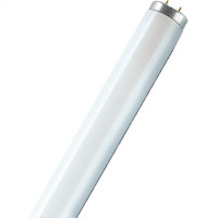 Lampada Fluorescente 54W T5 Osram 3000K 830 