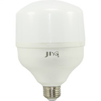 Lampada Led Bulbo Jng 65W 6500K E27 55318