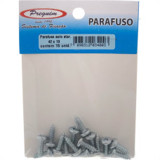 Cartela Parafuso Auto/Atarrachante Panela Preguim 4,2 X 13Mm Com 15 Pecas 