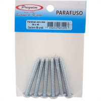 Cartela Parafuso Auto/Atarrachante Panela Preguim 5,5 X 45Mm Com 06 Pecas 1293