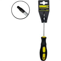 Eda Chave Torx  Fenda T20 - 8Jn