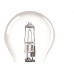 Lampada Incandescente Ecologena A55 100X127V Kian - Kit C/10 Unidades