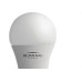 Lampada Led Bulbo 15W 6500K Blumenau