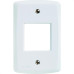 Espelho Placa Tramontina Lux 4X2 2Int 57105/005