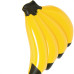 Boia Mor Banana 1,24X1,28M 1971