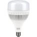 Lampada Led Alt.Potencia 65W E27 6500K B_D