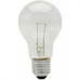 Lampada Incandescente Baixa Voltagem Brasfort 25 X 12V 8563