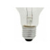 Lampada Incandescente Baixa Voltagem Brasfort 25 X 12V 8563