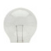 Lampada Incandescente Baixa Voltagem Brasfort 25 X 12V 8563