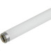 Lampada Fluorescente 14W T5 Osram 5000K 