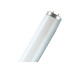 Lampada Fluorescente 54W T5 Osram 3000K 830 