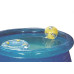 Piscina Mor Splashfun 1000 Litros 1,65X55 1048