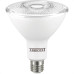 Lampada Led Par38 Taschibra 09,9W 6500K 