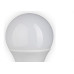 Lampada Led Bulbo Galaxy A60 15W 6500K 1012R