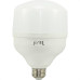 Lampada Led Bulbo Jng 65W 6500K E27 55318