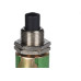 Chave Margirius Cs390 Na Pushbutton Verde Blister Pa008730