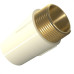 Conector Tigre Aquatherm 22Mmx1/2 