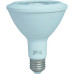 Lampada Led Par30 Jng 12W 6500K 55639