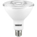 Lampada Led Par38 Taschibra 14W 2700K 