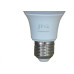 Lampada Led Bulbo Jng 12W 6500K 55706