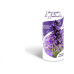 Odorizador De Ambiente Lev&Uze Lavanda Floral 400Ml 40122