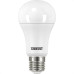 Taschibra Lamp Led Bulbo  15W 6,5K