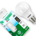 Taschibra Lamp Led Bulbo  12W 6,5K