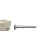 Newfix Diversos Parafuso Tampinha Phillips Nfix 4,2X 40 - Kit C/2 Centos