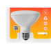 Ourolux Lamp Led Par-30  09W 6500K
