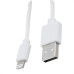 Dual Cabo Usb X Iphone Branco  2Mt