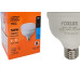 Foxlux Lamp Led A.Fator  30W 6500K