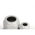 Steck Prensa Cabo  Bsp 8453 3/4 - Kit C/10 Pc