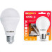 Lampada Led Bulbo Controled Ourolux 9W. Com Sensor Presenca 6500K.