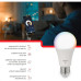 Lampada Led Bulbo Steck Rgbw Wifi 12W 3000K A 6500K Bivolt - Smal2Us1