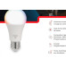 Lampada Led Bulbo Steck Rgbw Wifi 12W 3000K A 6500K Bivolt - Smal2Us1