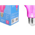 Lampada Filamento De Led Elgin A60 - 1W. 50Lm E-27 Bivolt Rosa