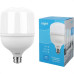 Lampada Led Alta Potencia Elgin 65W. 6500Lm Bivolt 6500K. - E27/E40