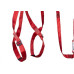 Cinto De Seguranca Paraquedista Rosso Act Com Talabarte ''I'' - Uscj006156130