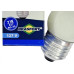 Lampada Bolinha Brasfort 7Wx127V. Leitosa - Kit C/25 Pecas