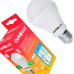 Lampada Led Bulbo Ourolux A55 - 6W. 6500K.