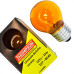 Lampada Colorida Thompson 15Wx127V. Laranja - Kit C/10 Pecas