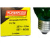 Lampada Colorida Thompson 15Wx127V. Verde - Kit C/10 Pecas