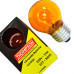 Lampada Colorida Thompson 15Wx220V. Laranja - Kit C/10 Pecas