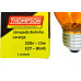 Lampada Colorida Thompson 15Wx220V. Laranja - Kit C/10 Pecas