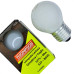 Lampada Para Geladeira/Fogao/Lustre Thompson 40Wx127V. Leitosa - Kit C/10 Pecas